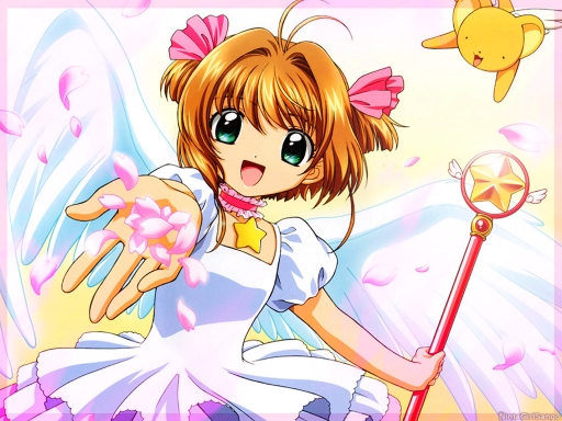 Cardcaptor