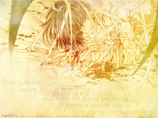 Heavy Things Don't Fly