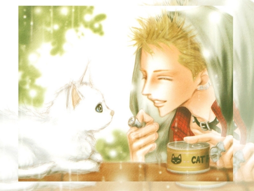 Nobu And The Cat