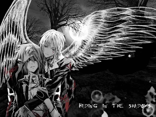 Hiding In The Shadows