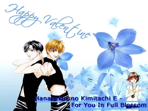 Hana Kimi Happy Valentine