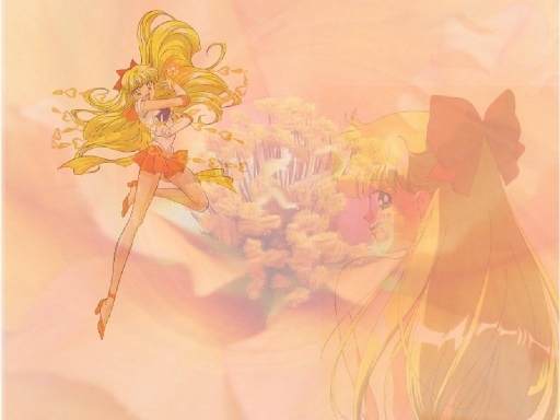 Sailor Venus And An Orange Flo