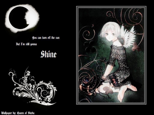 Shine Like the Moon