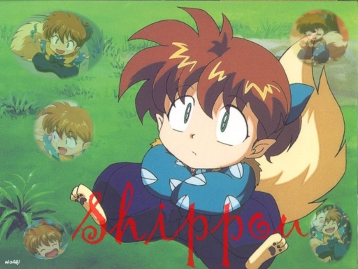 Shippou