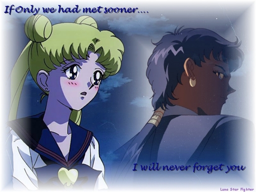 I Will Never Forget You