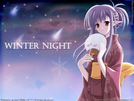 Winter Night