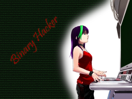 Binary Hacker