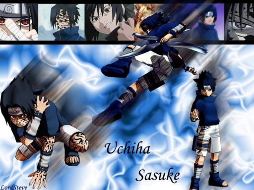 Sasuke Loves to Fight