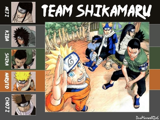 Team Shika