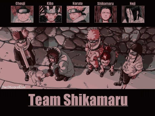 Team Shika