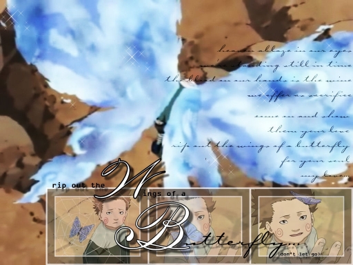 Wings Of A Butterfly