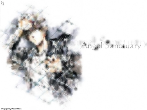 Angel's Fence
