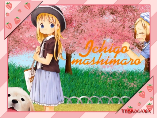 Ichigo In Photo Frame