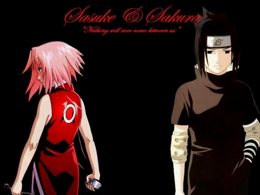 Sakura And Sasuke Wallpaper