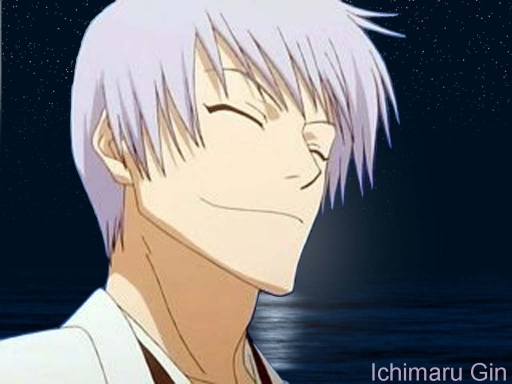 Ichimaru Gin