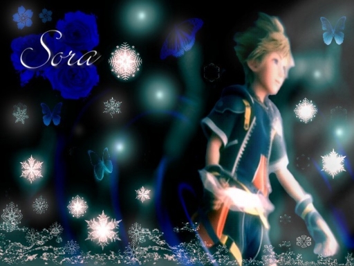 Sora