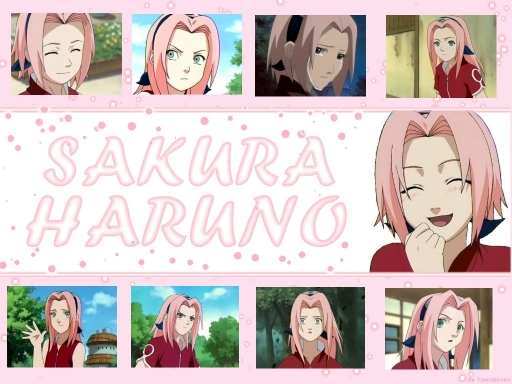 Sakura