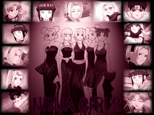 Ninja Girls