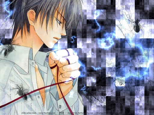 For the love of spiders