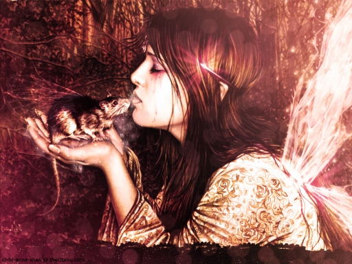 Travel onwards small one