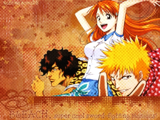 Bleach Group3