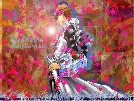 Kaiba-don't Mess With Me