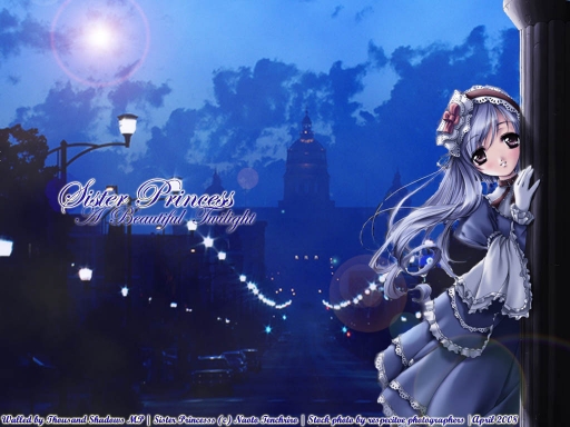 A Beautiful Twilight