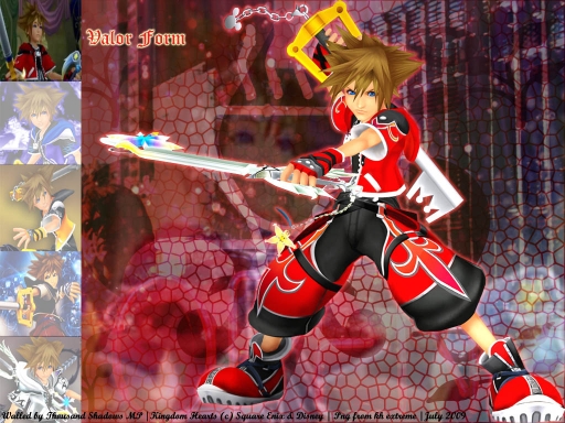 Valor/Brave Form Sora