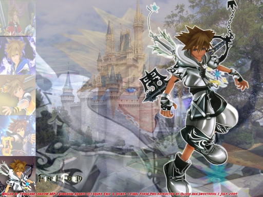 Final Form Sora