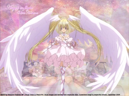 Angels in Flight-Hoshina Utau