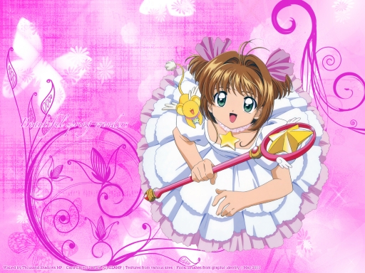 Beautiful Spring Wonders