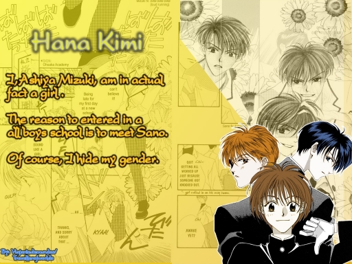 Hana Kimi Wall