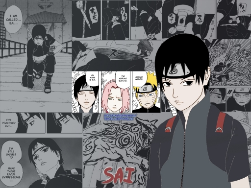 Sai Wall