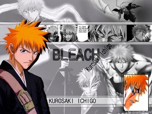Ichigo1024