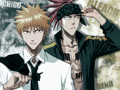 Bleach 1024