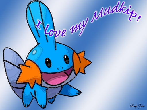 I Love My Mudkip!