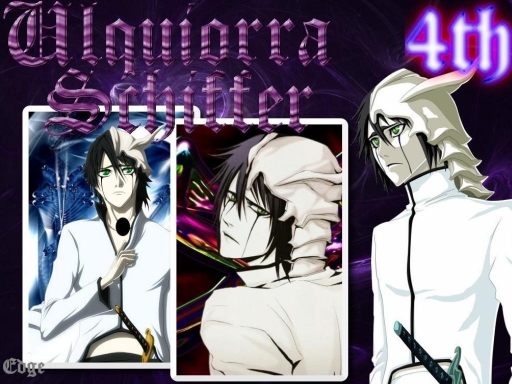 4th Espada: Ulquiarra Schiffer