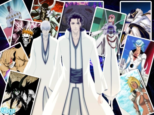 Aizen's Unleashed Espada