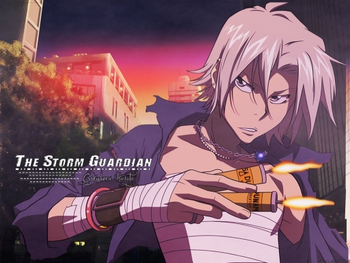 The Storm Guardian