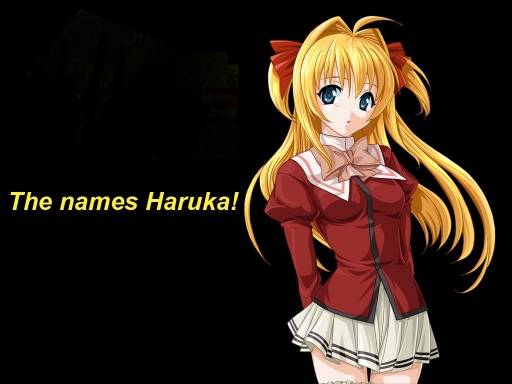 The Names Haruka!