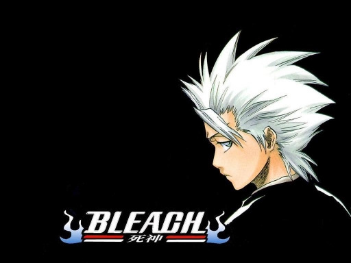 Toushiro Hitsugaya