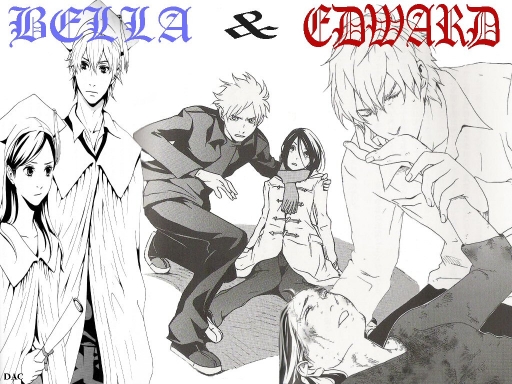 Bella & Edward