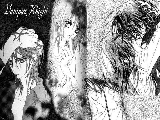 Vampire Knight