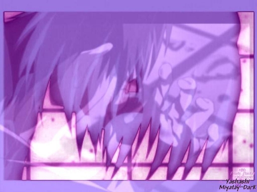 Fb Wall#19the Dark Hidden With