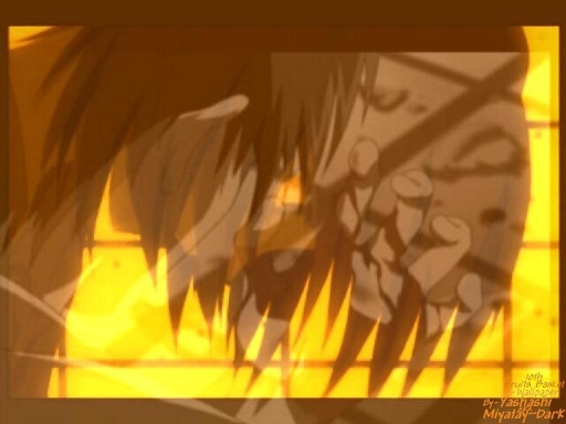 Fb Wall#10 The Dark Hidden Wit