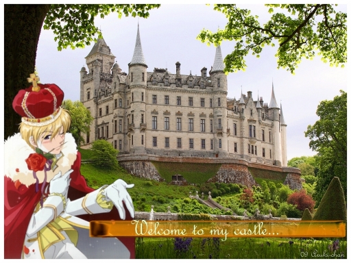 Welcome to the castle