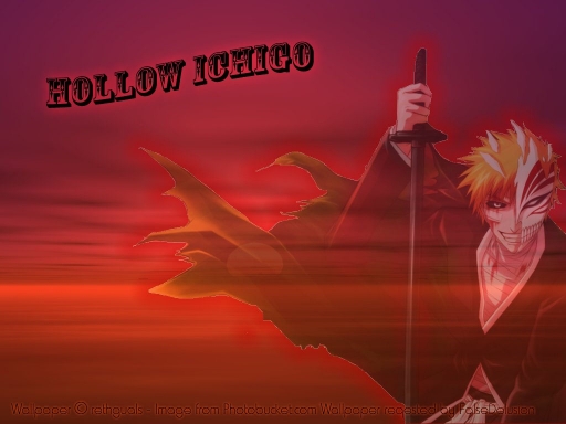 Hollow Ichigo
