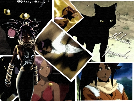 Shihoin Yoruichi