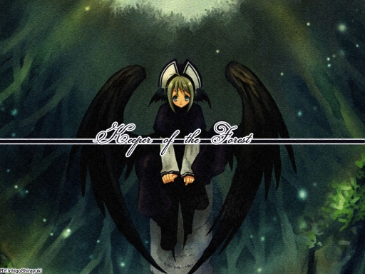 Keeper of the Forest