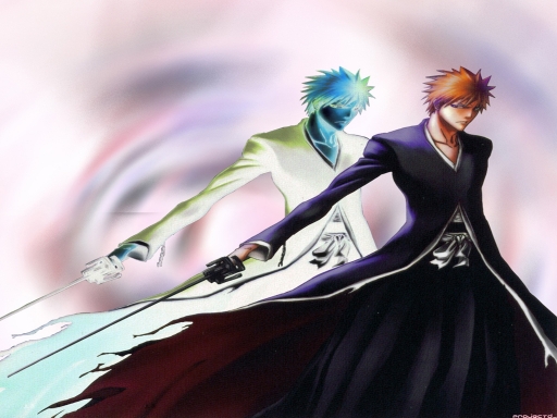 Ichigo's Battles
